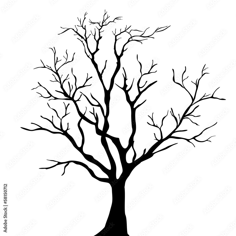 Fototapeta premium Tree silhouettes. Vector illustration.