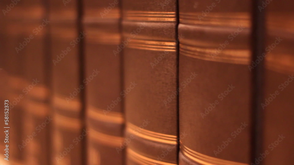 Book with a luxurious leather binding Book with a luxurious leather binding