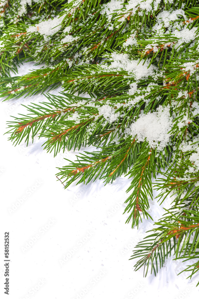 Obraz premium Christmas background. Eve framework