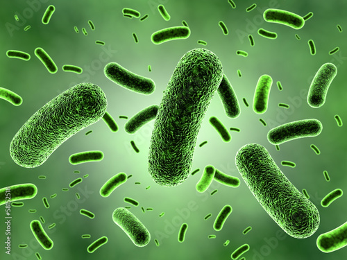 Green Bacteria Colony photo
