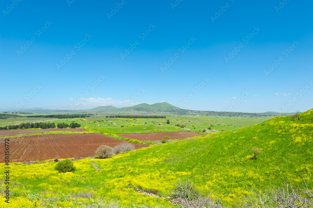 Golan Heights Golan Heights