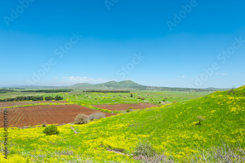 Golan Heights