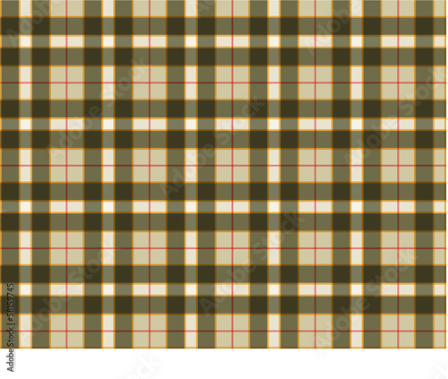 tissu écossais - kilt