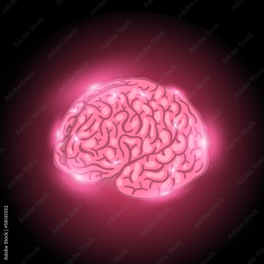 brain
