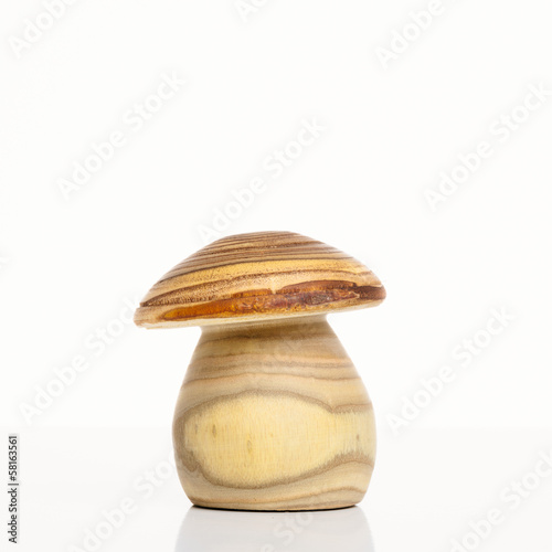 Pilz aus Holz