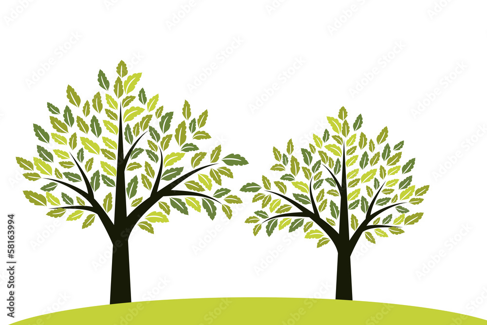 Obraz premium Two trees