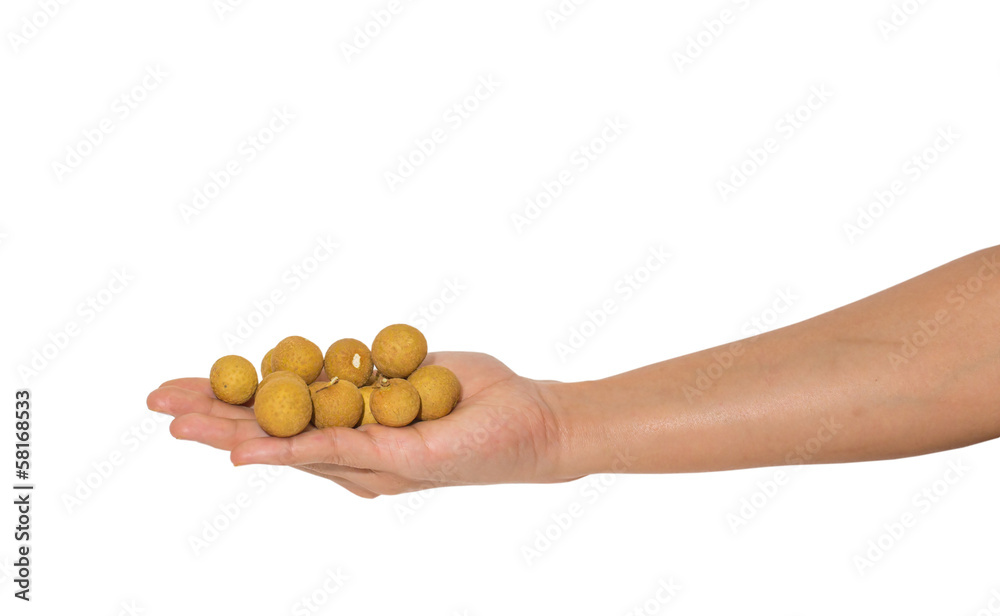 Cat Eye Fruit , a subspecies of the Longan Fruit Cat Eye Fruit , a subspecies of the Longan Fruit