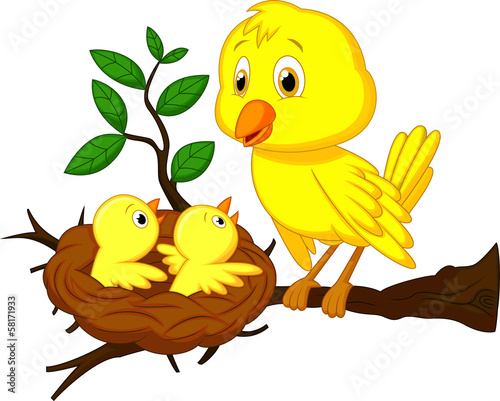 Mother and baby bird