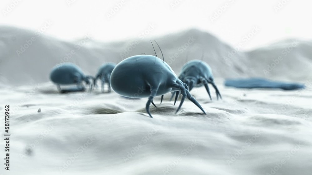 Animation showing some dust mites