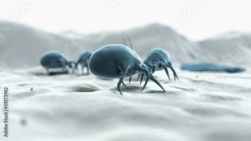 Animation showing some dust mites