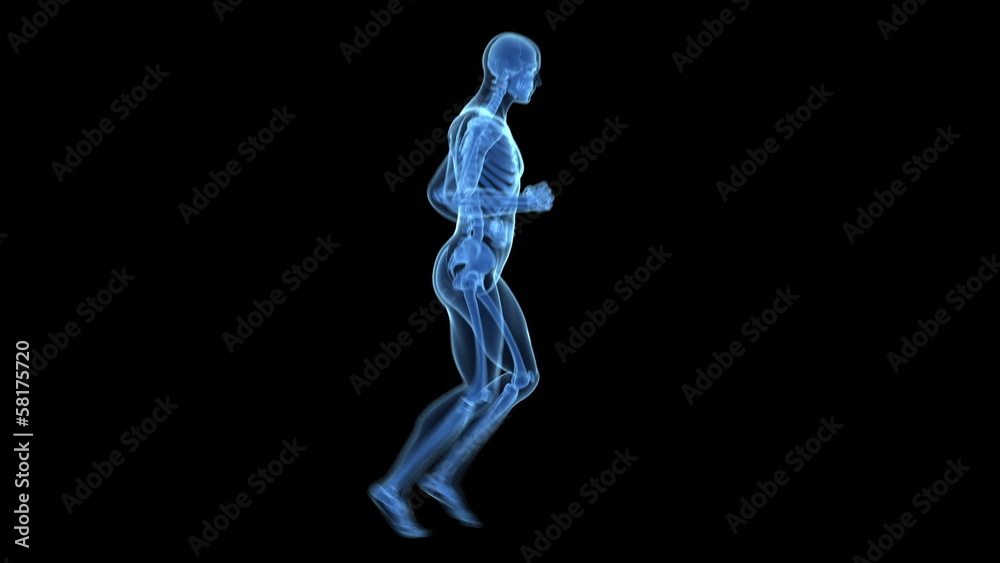 x-ray - transparent jogger x-ray - transparent jogger