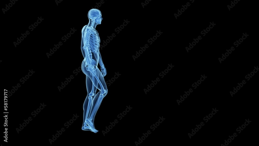 Walking guy - transparent skeleton Walking guy - transparent skeleton