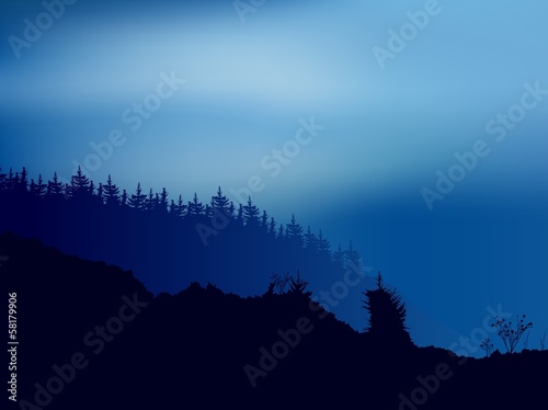 Forest Scene
