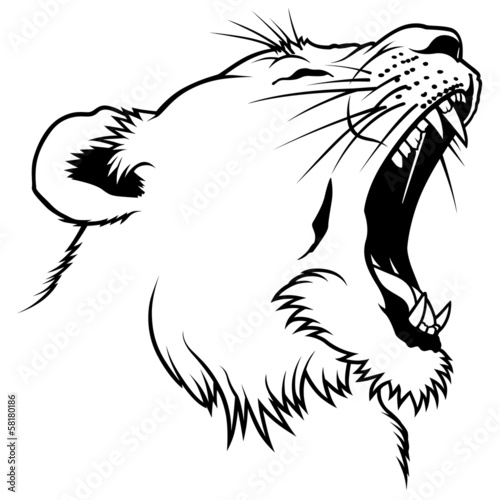 Fototapeta Naklejka Na Ścianę i Meble -  Lioness Head