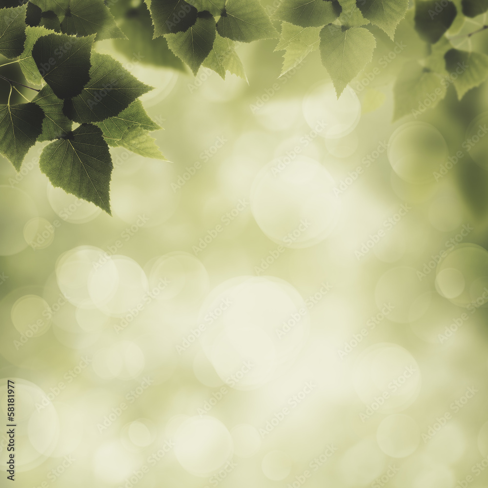Abstract eco and environmental backgrounds for your design Abstract eco and environmental backgrounds for your design