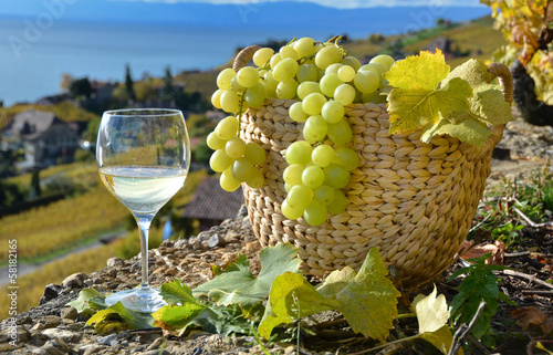 Wineglass and basket of grapes. Lavaux region, Switzerland