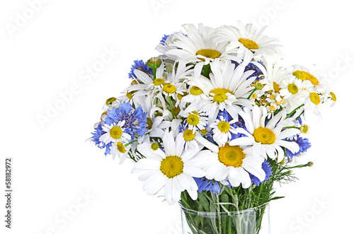 beautiful bouquet of daisies in vase © Natalia Merzlyakova
