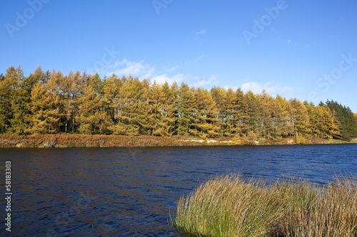 cod beck autumn