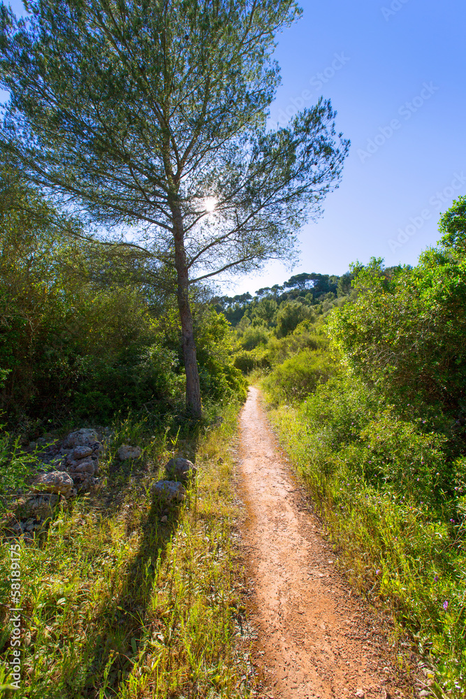 Menorca mediterranean track in es Mitjorn Gran Menorca mediterranean track in es Mitjorn Gran