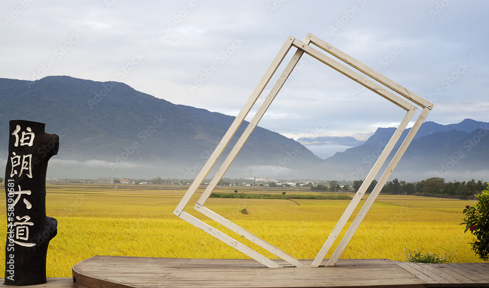 Fototapeta premium Beautiful paddy place