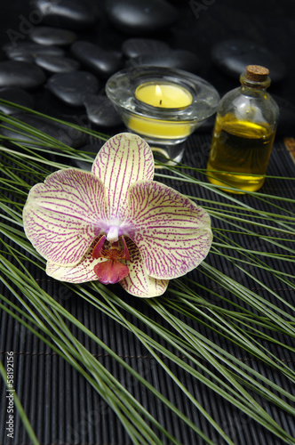 Single orchid with massage oil and candle