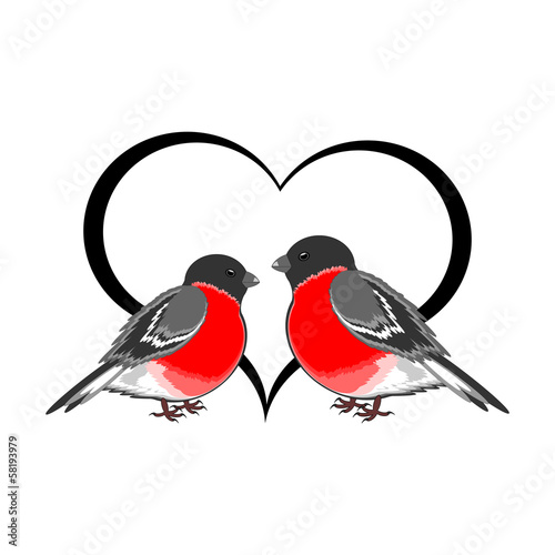 A couple of cute bullfinches (pyrrhula) with a heart