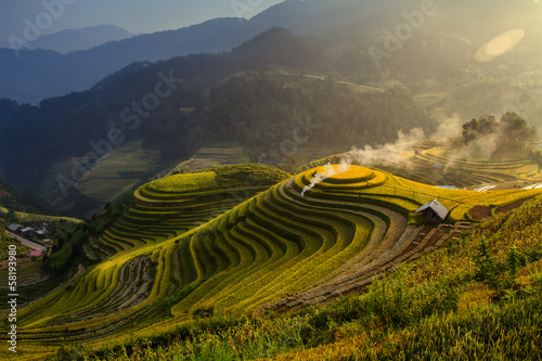 Terraced rice fields #58193980
