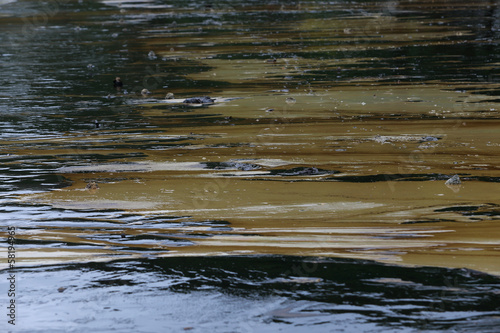 Gulf oil spill is shown on a beach
