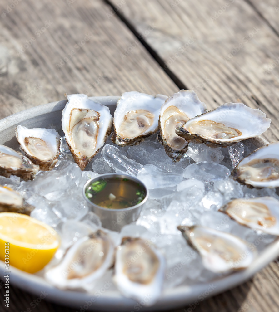raw oysters raw oysters