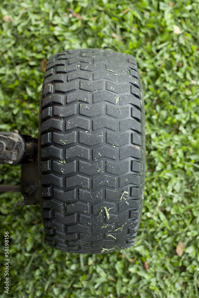 Obraz premium Wheel on the green grass