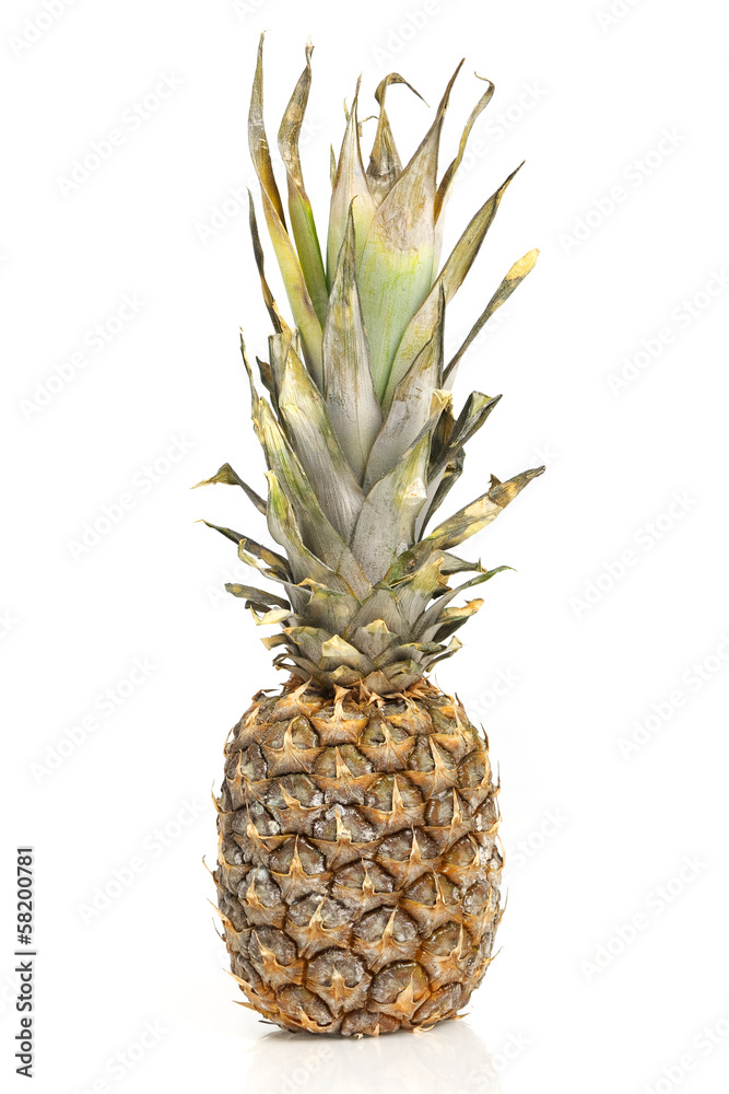 Fototapeta premium Pineapple