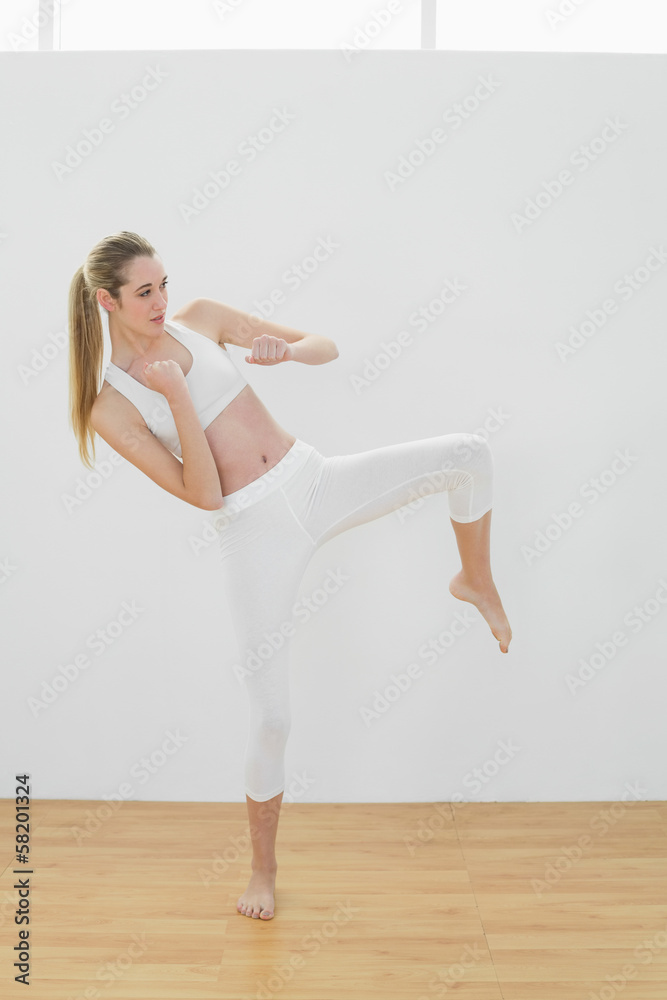 Lovely fit woman doing martial arts wearing sportswear