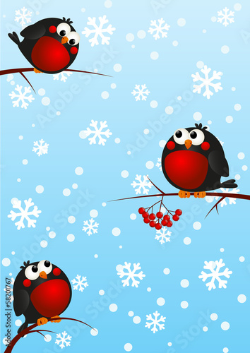Funny bullfinches on rowan branches