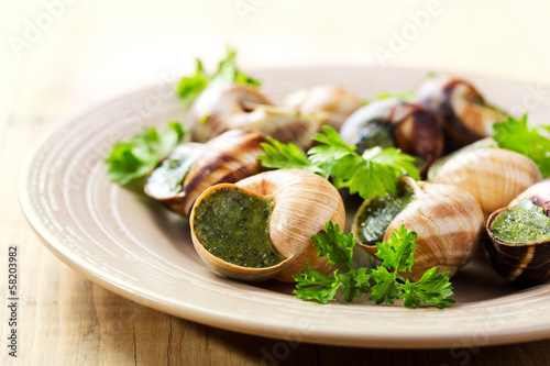 plate of escargots photo
