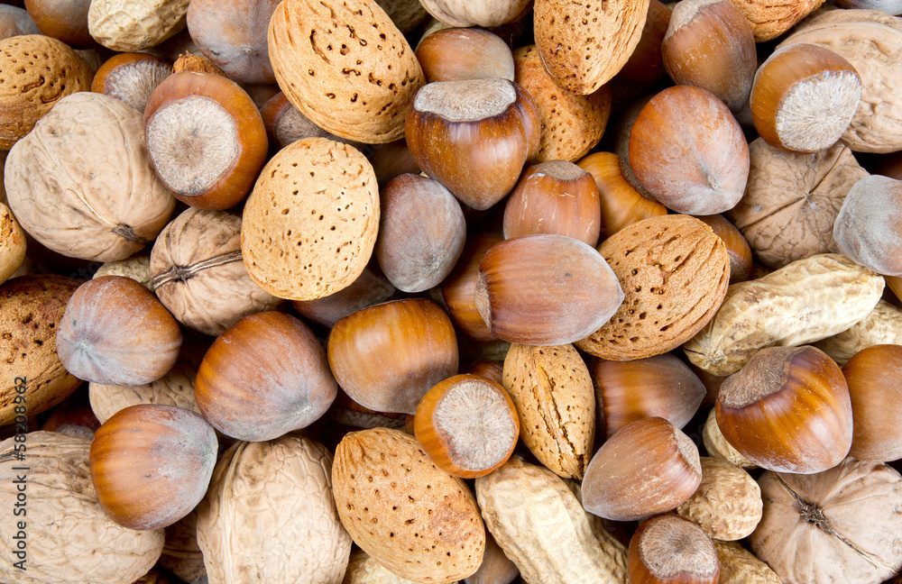 collection of shelled nuts