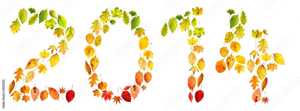 2014 [Herbstblätter] [autumn leaves]