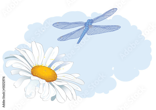 daisy and dragonfly