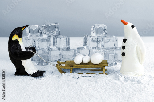 Penguin with snowballs