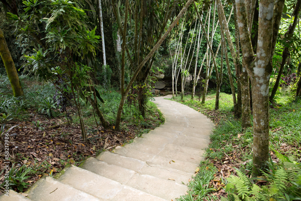 Garden stone path