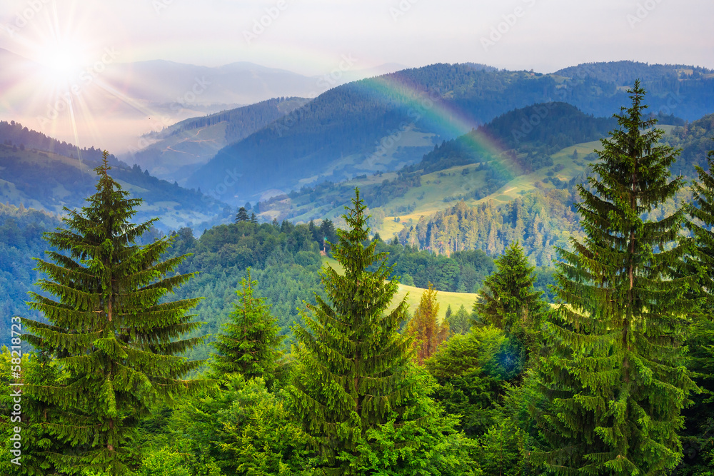 pine trees near valley in mountains and autumn forest on hillsid