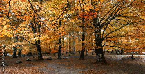 Late autumn.Urbasa Nature Park.Navarra,Spain.