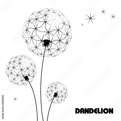 Abstract flower vector dandelion