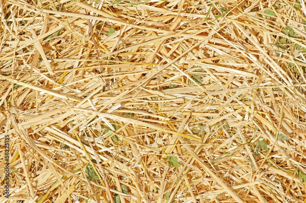 Texture of straw Texture of straw