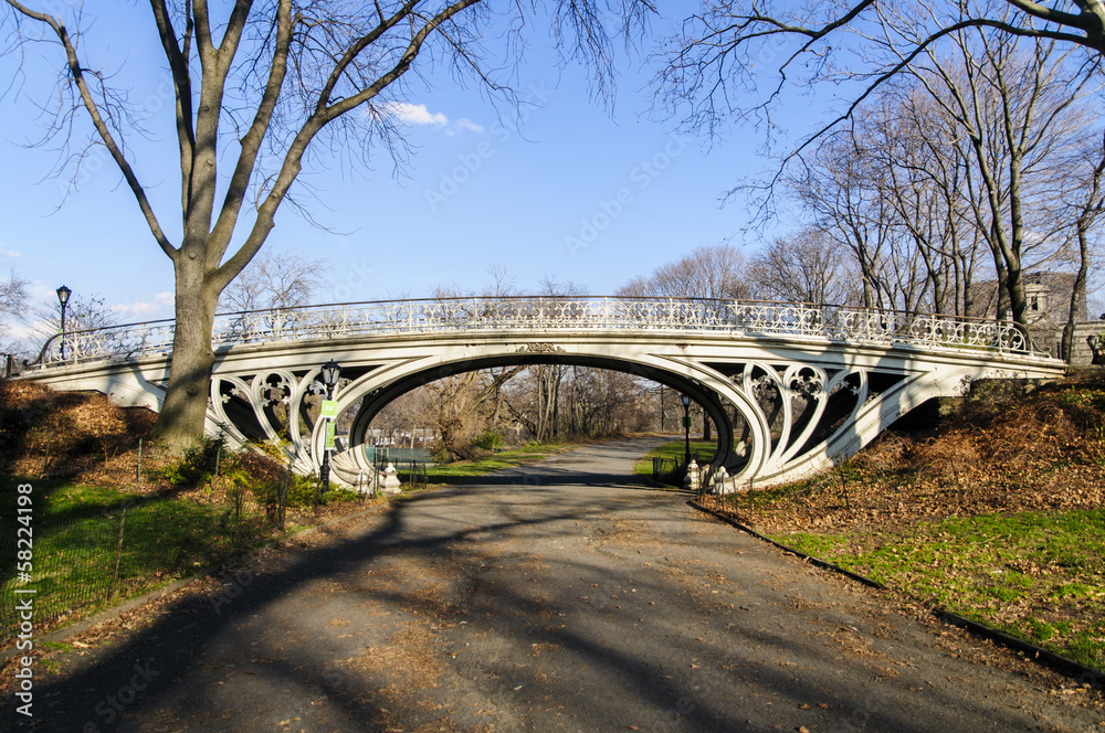 Obraz premium Bridge in Central Park, New York