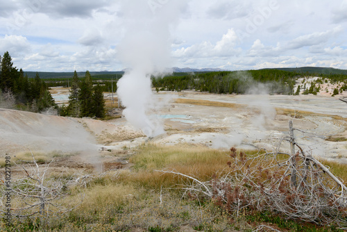 Yellowstone National Park, USA