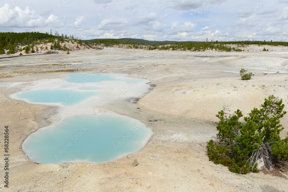 Yellowstone National Park, USA