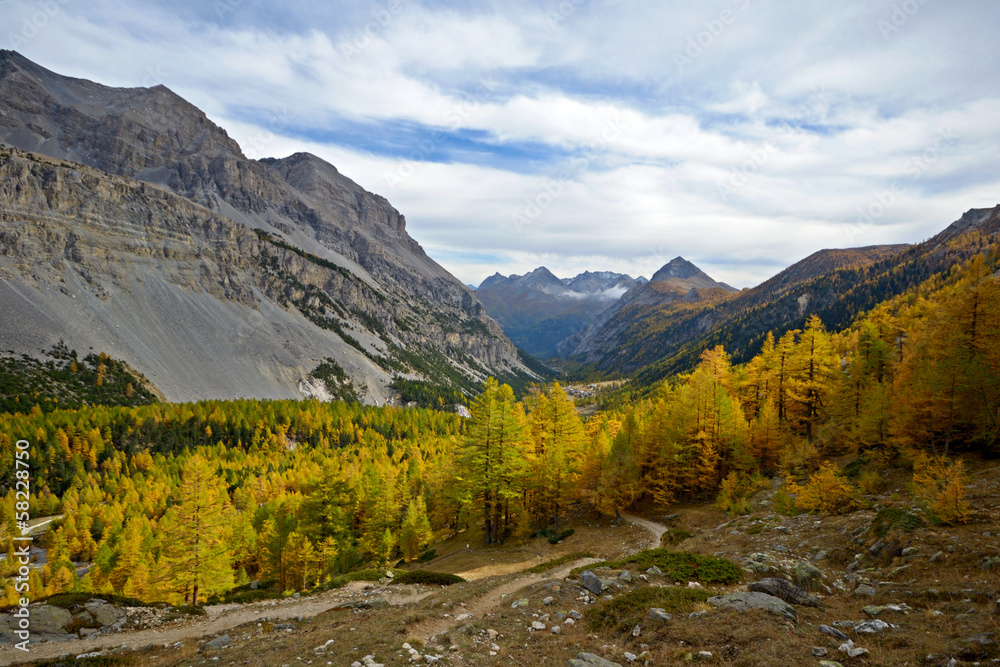 Fototapeta premium Autumn in an alpine valley