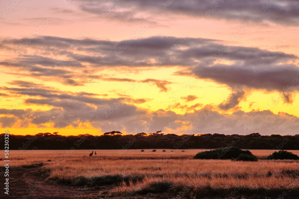 Fototapeta premium Nullarbor Plain, Australia