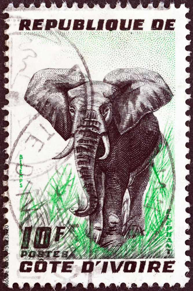 Naklejka premium Elephant (Ivory Coast 1959)