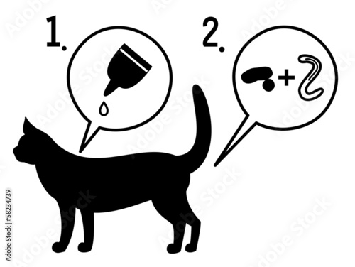 猫の寄生虫退治